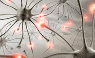 Epilepsi hastalarının dikkat etmesi gerekenler