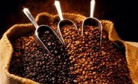 Günde 3 fincan kahve içen yaşıyor!
