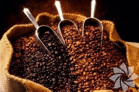 Günde 3 fincan kahve içen yaşıyor!