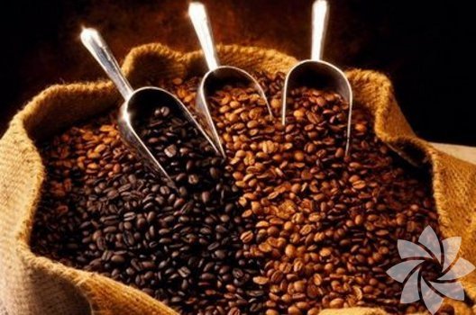 Günde 3 fincan kahve içen yaşıyor!