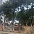 Taksim Gezi Parkını soran çocuklara vereceğiniz cevap önemli!