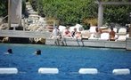 Göbek mi bebek mi?